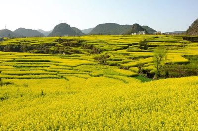 项目名称：永久基本农田及耕地保护动态监测监管项目
委托方：广州开发区规划和自然资源局
项目预算：104万元